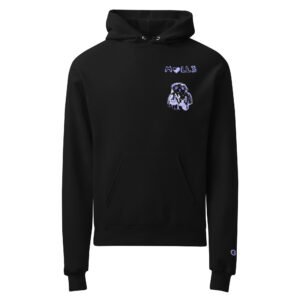 Unisex Champion hoodie